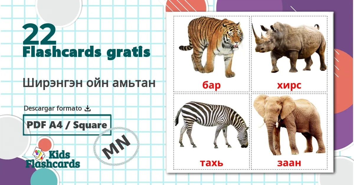 22 tarjetas didacticas de Ширэнгэн ойн амьтан