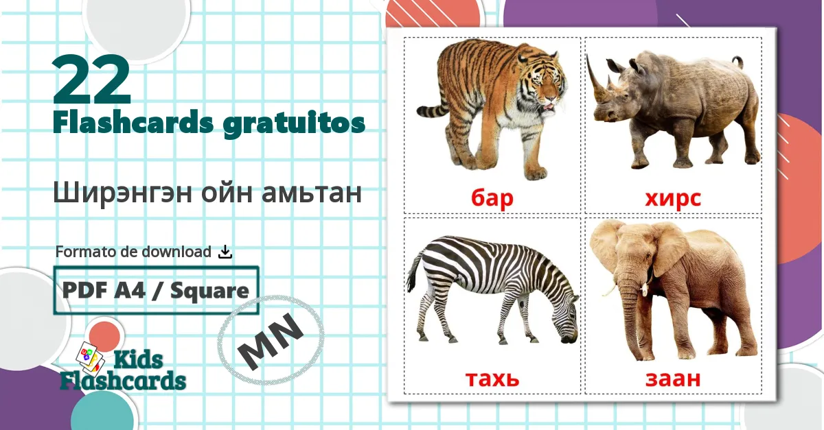 22 Flashcards de Ширэнгэн ойн амьтан