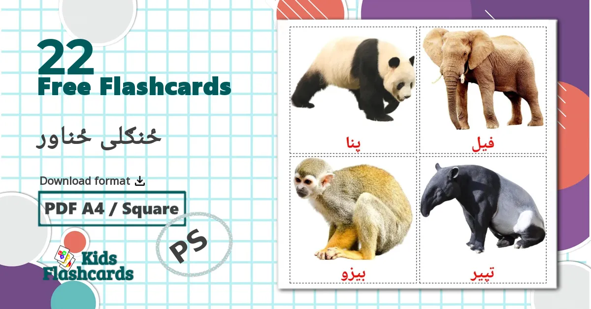 22 ځنګلی ځناور flashcards