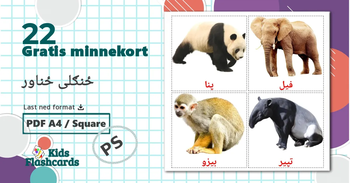22 ځنګلی ځناور bildekort
