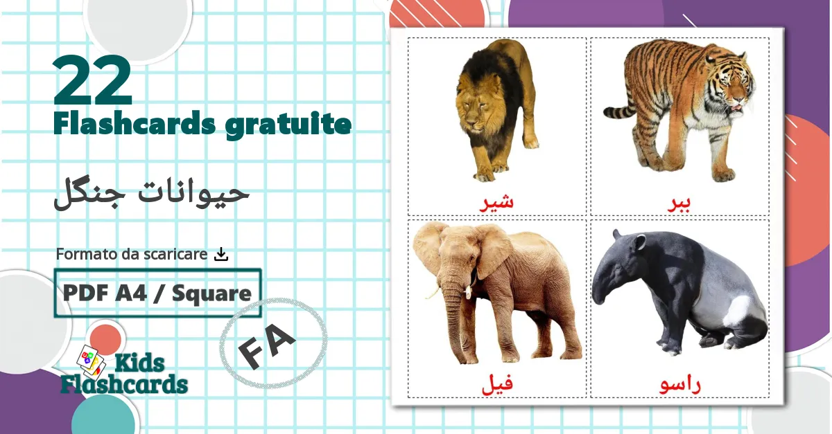 22 flashcards di حیوانات جنگل