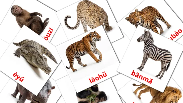 1300+ FREE Pinyin Flashcards | PDF | Picture Vocabulary