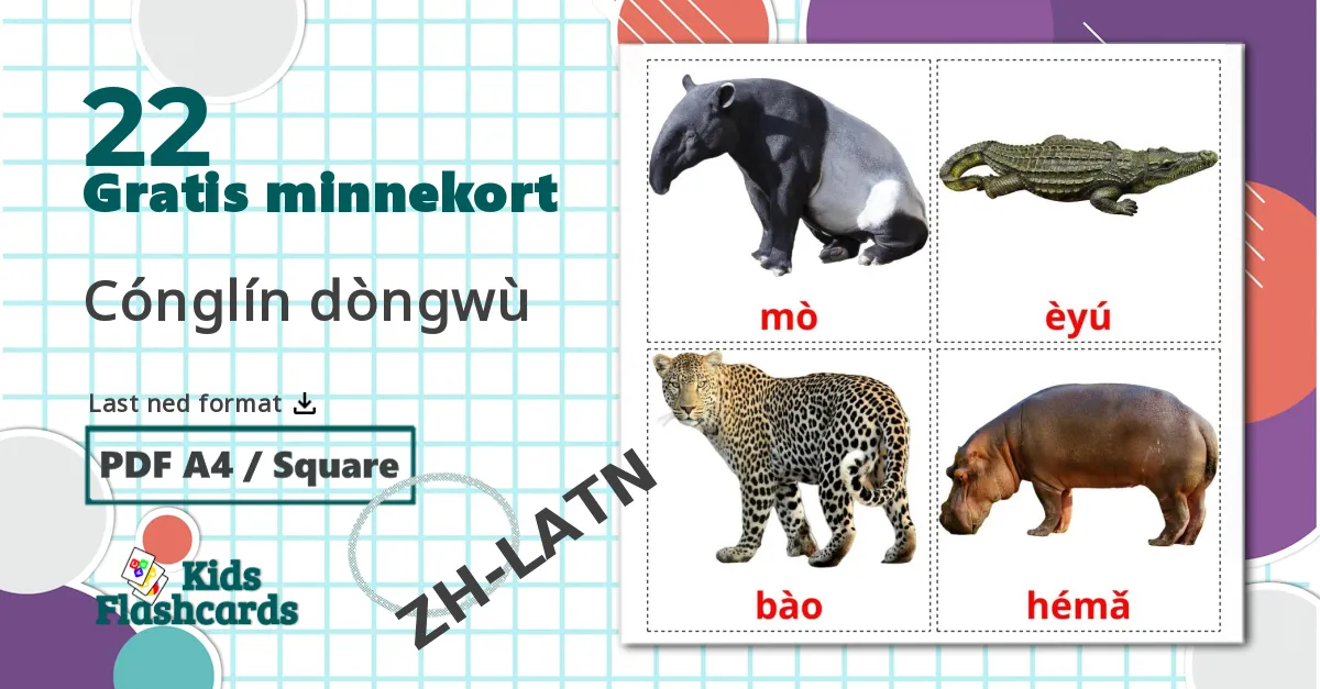 22 Cónglín dòngwù bildekort