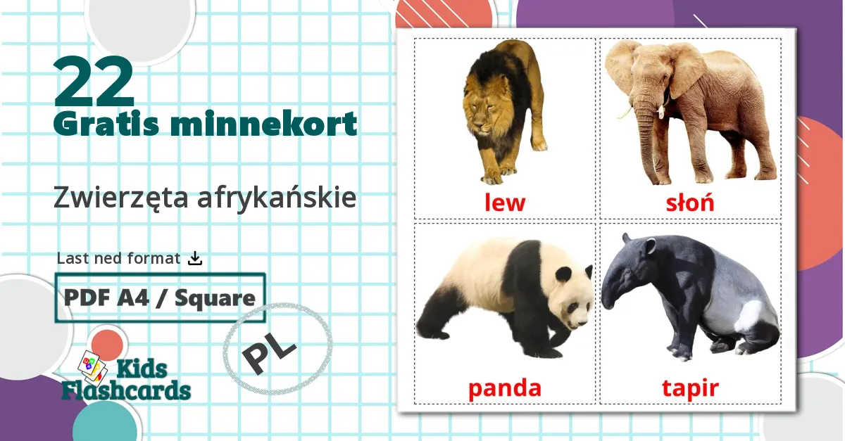 22 Zwierzęta afrykańskie bildekort