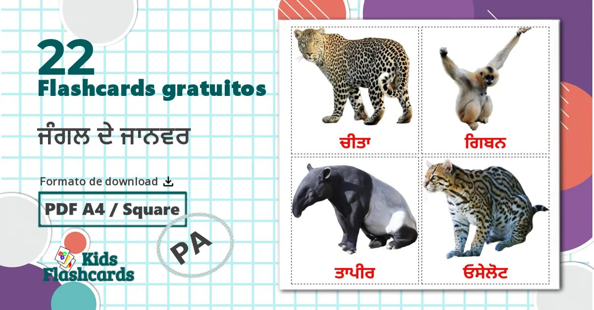 22 Flashcards de ਜੰਗਲ ਦੇ ਜਾਨਵਰ