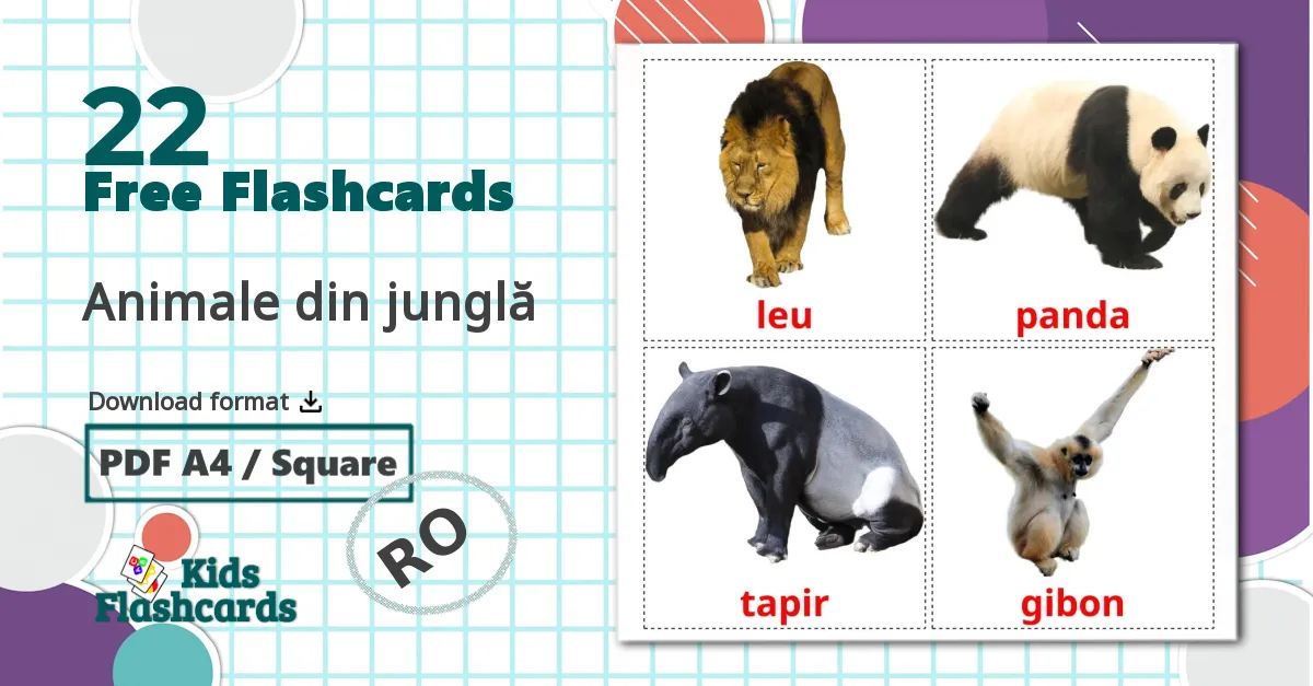 22 Animale din junglă flashcards