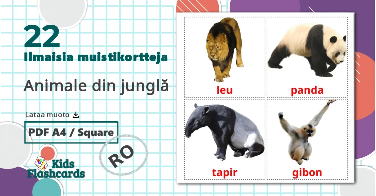 22 Animale din junglă lasten kuvakortit