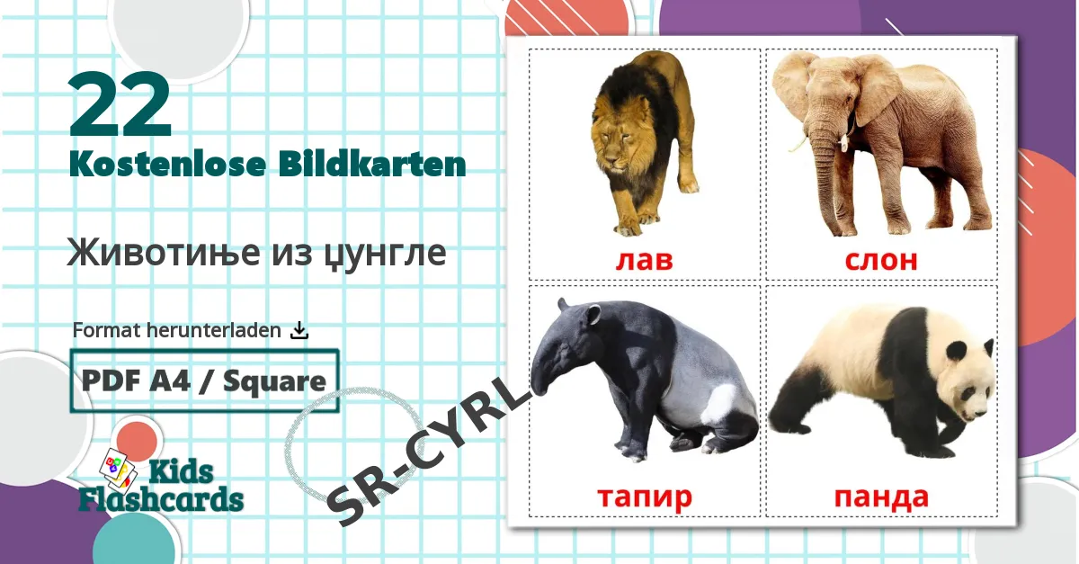 22 Bildkarten für Животиње из џунгле