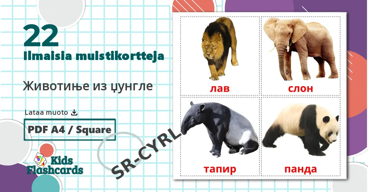 22 Животиње из џунгле lasten kuvakortit