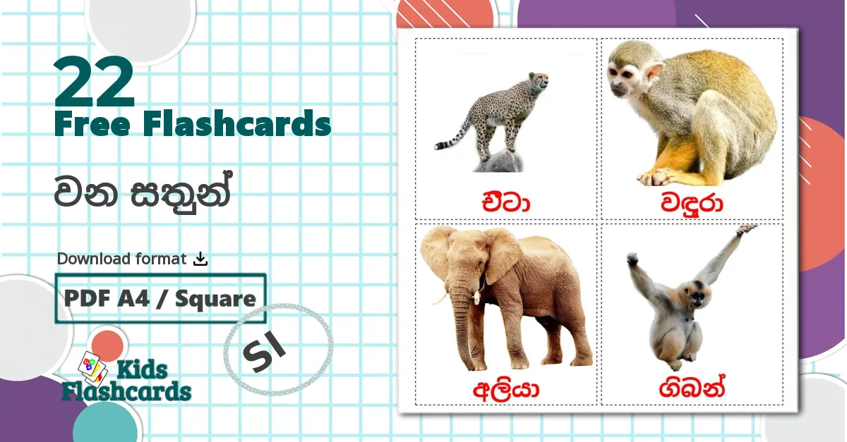 22 වන සතුන් flashcards