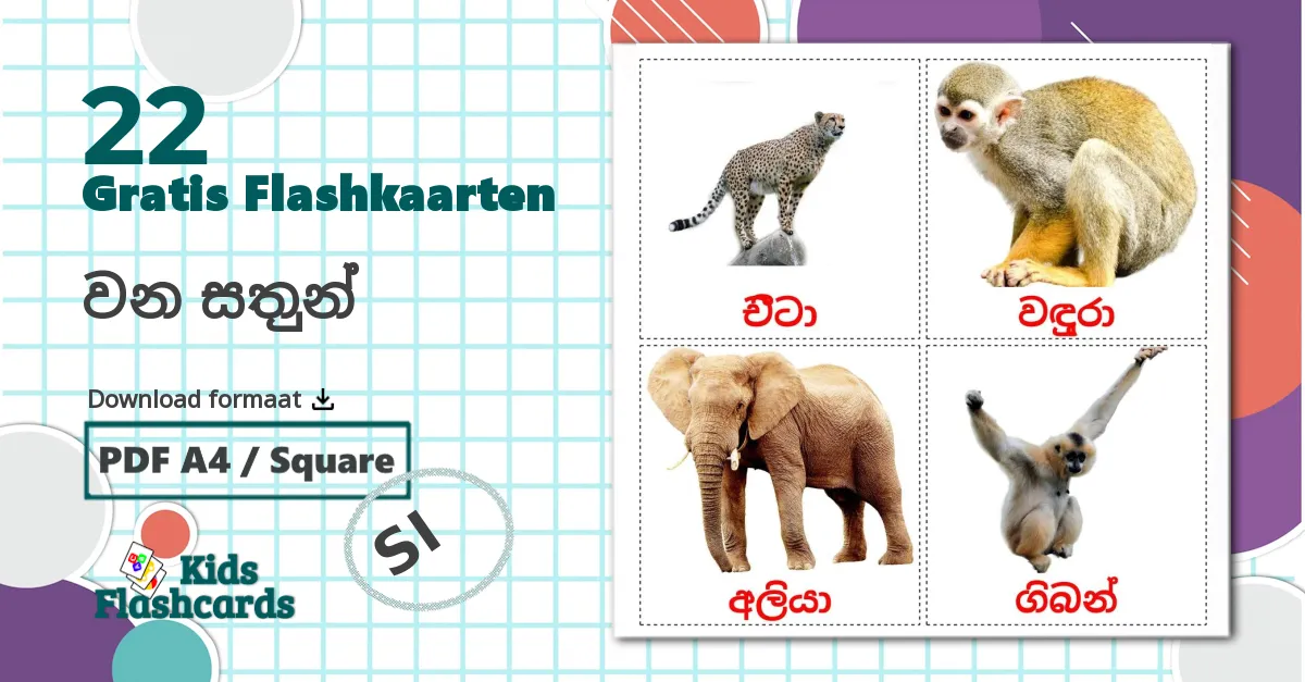 22 වන සතුන් flashcards