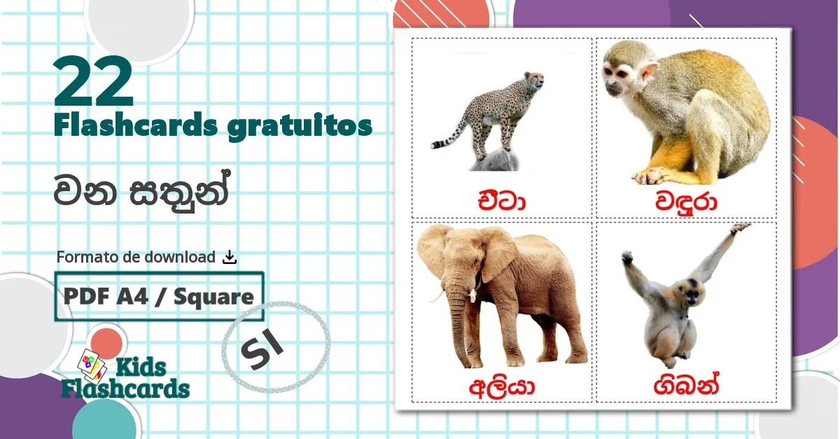 22 Flashcards de වන සතුන්