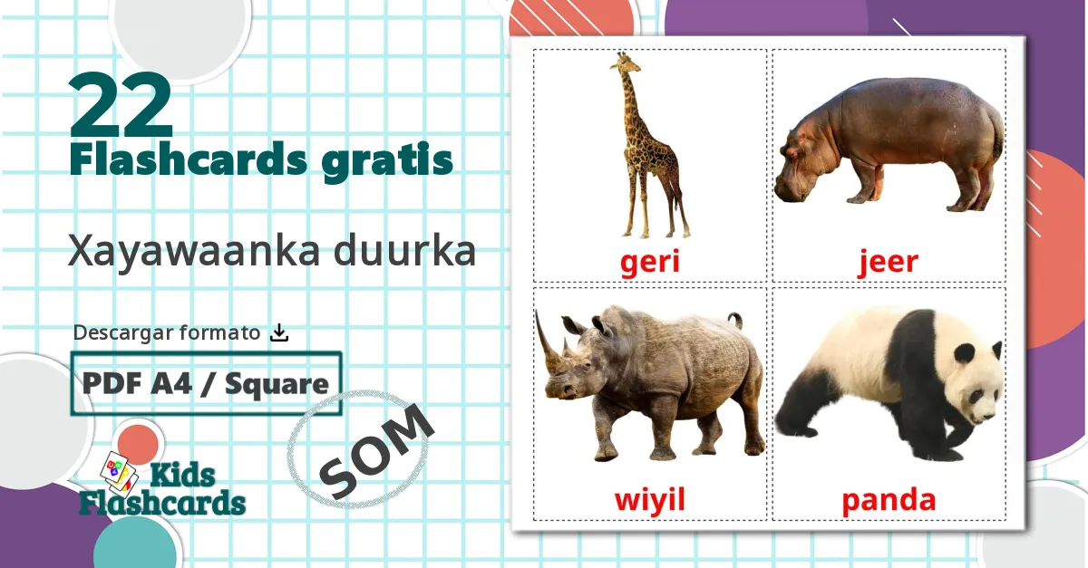 22 tarjetas didacticas de Animales de la Selva