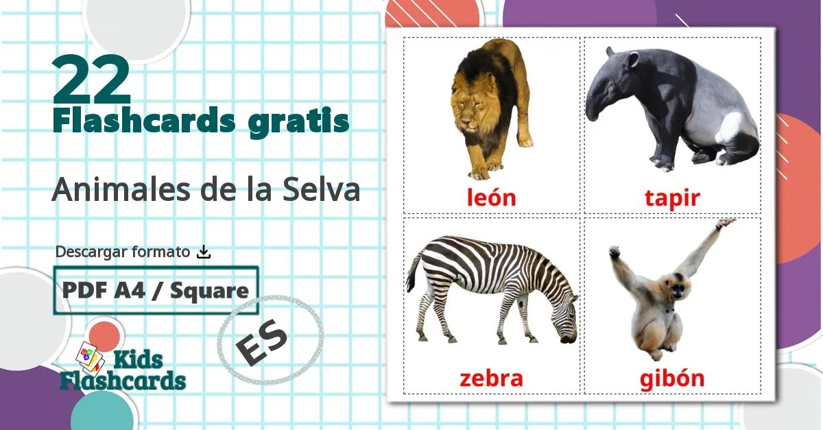 22 tarjetas didacticas de Animales de la Selva