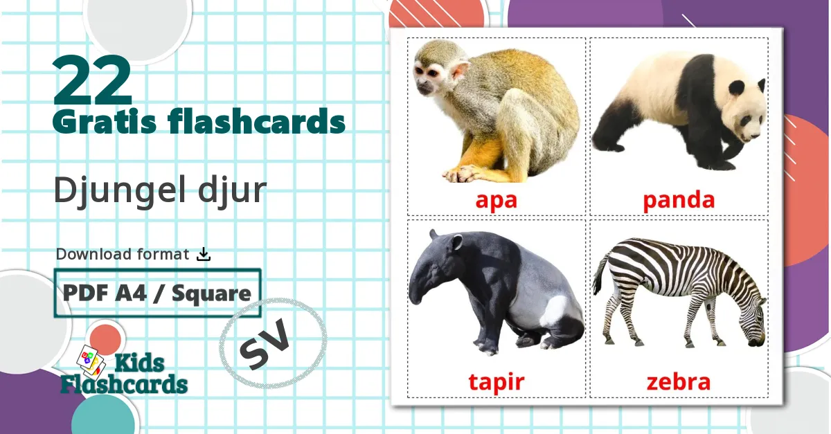 22 Djungel djur billedkort for børn