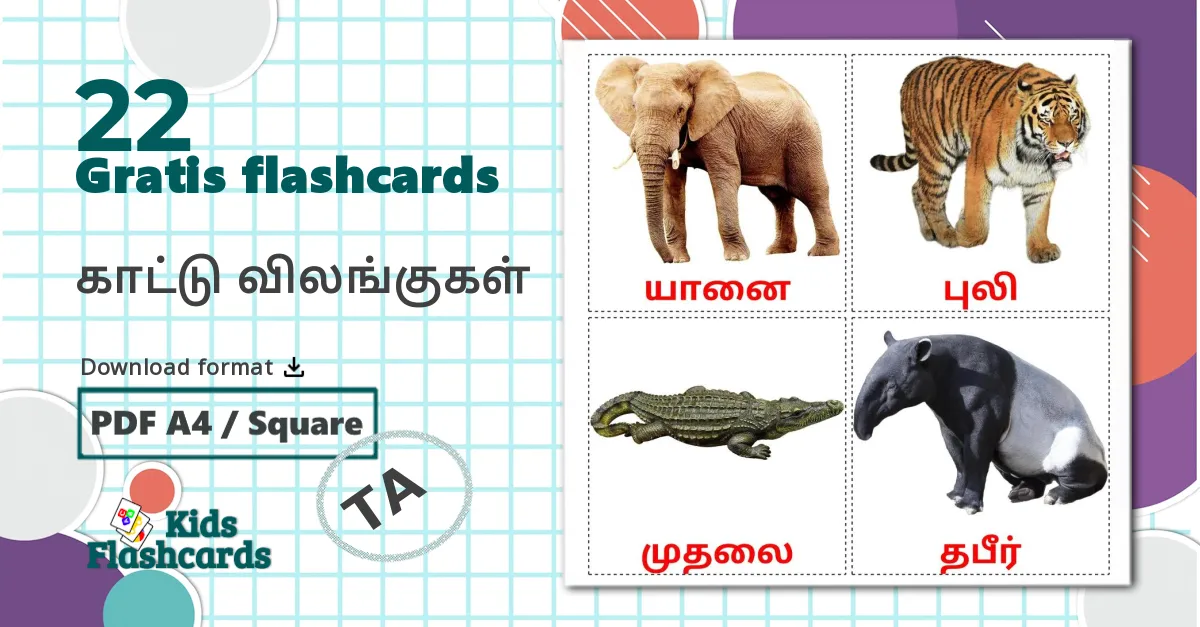 22 காட்டு விலங்குகள் billedkort for børn