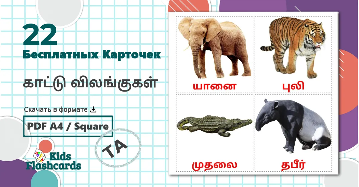 22 Карточки Домана காட்டு விலங்குகள்