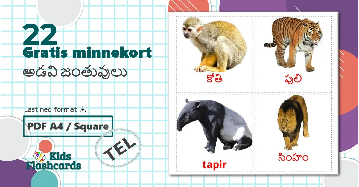 22 అడవి జంతువులు bildekort