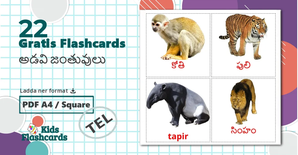 22 అడవి జంతువులు bildkort för barn