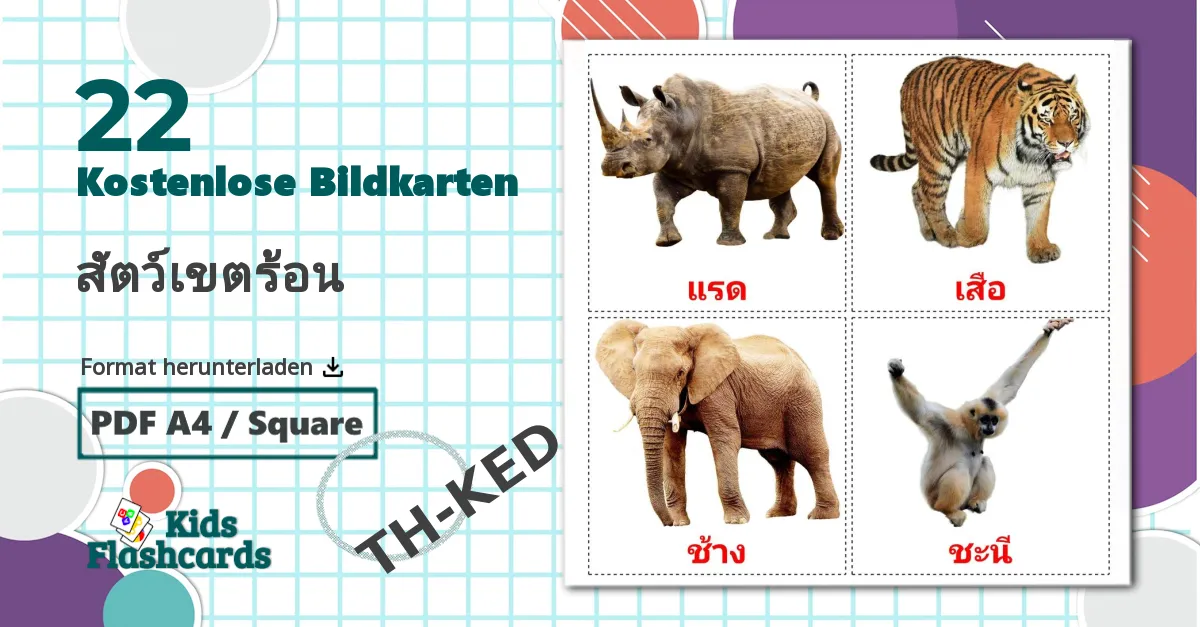 22 Bildkarten für สัตว์เขตร้อน