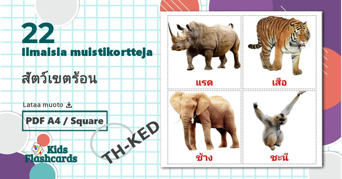 22 Viidakon eläimet lasten kuvakortit