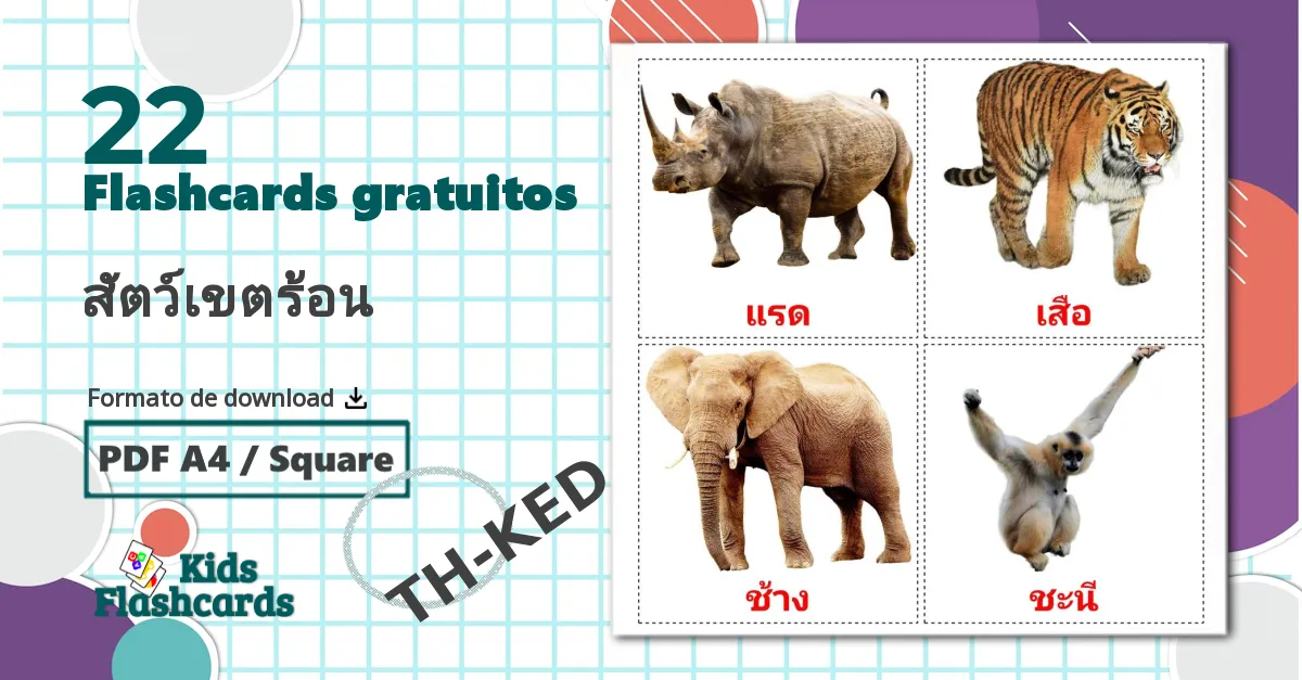 22 Flashcards de สัตว์เขตร้อน