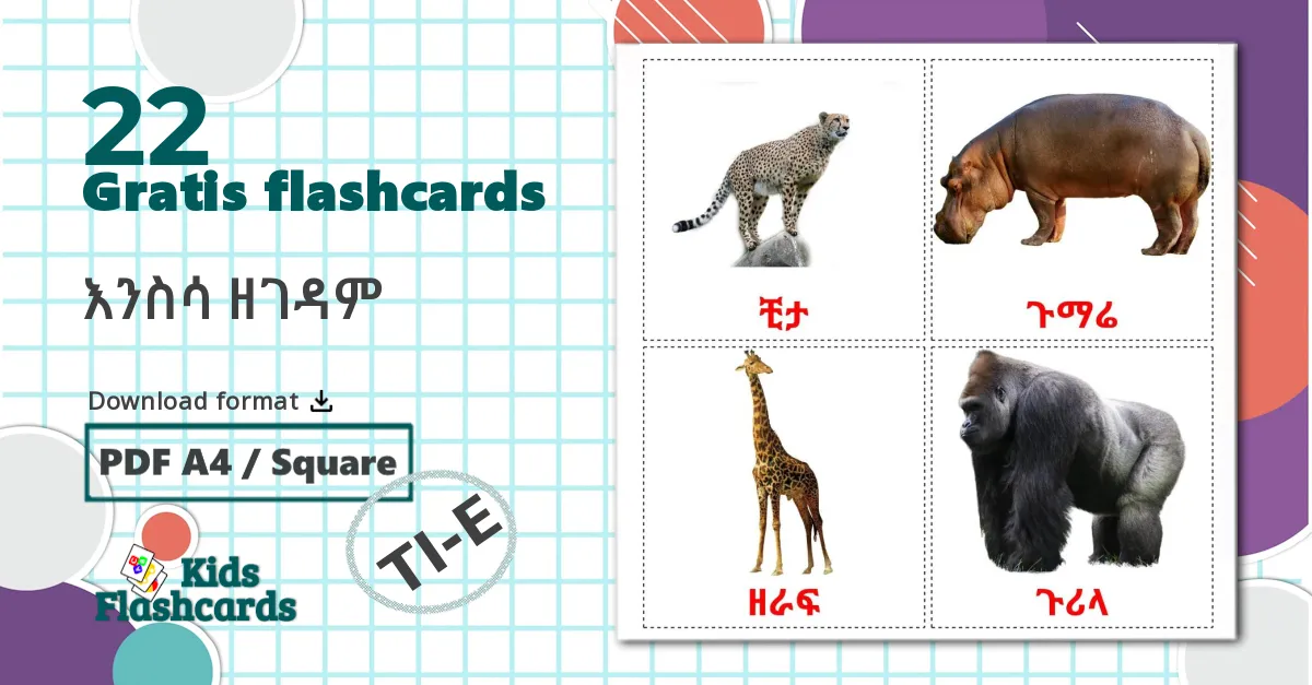 22 Rutineudsagnsord bildekort