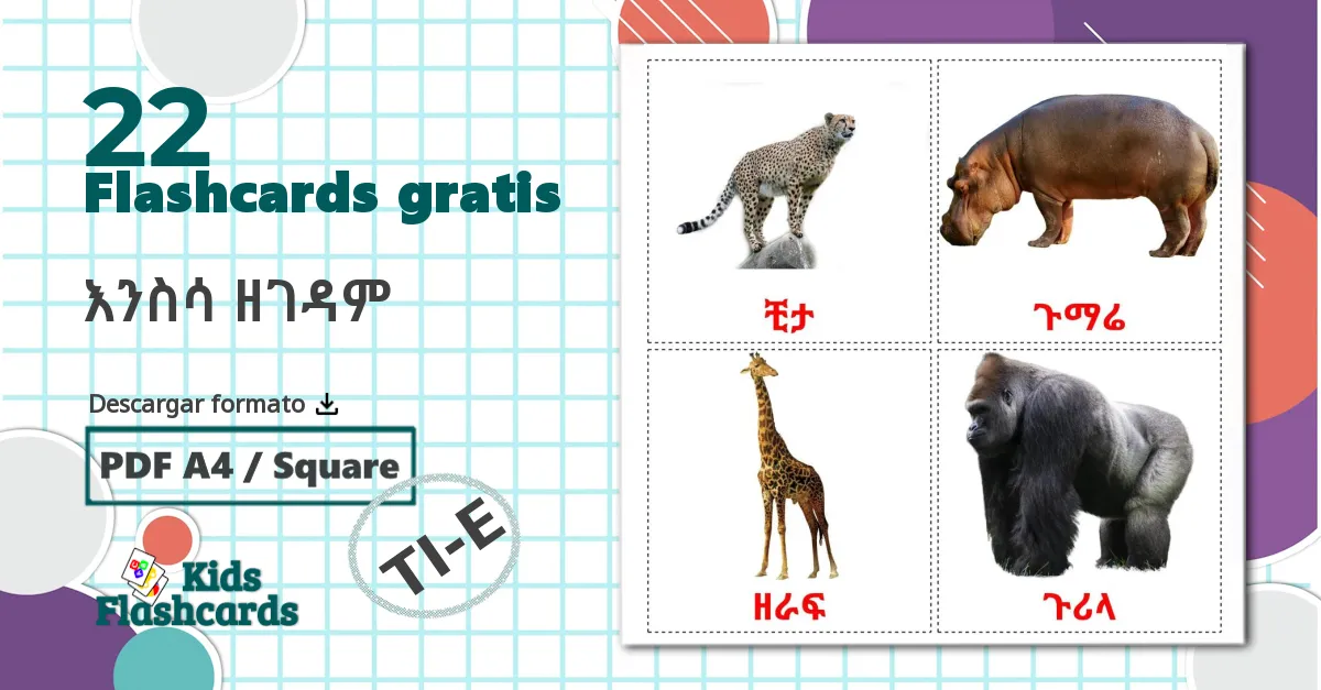 22 tarjetas didacticas de Animales de la Selva