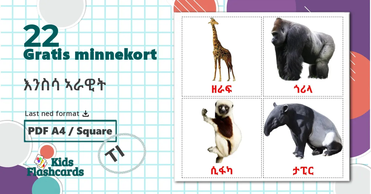 22 እንስሳ ኣራዊት bildekort