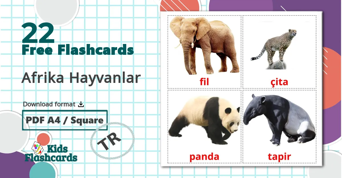 22 Afrika Hayvanlar flashcards