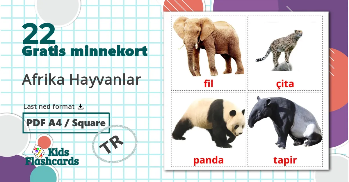 22 Afrika Hayvanlar bildekort