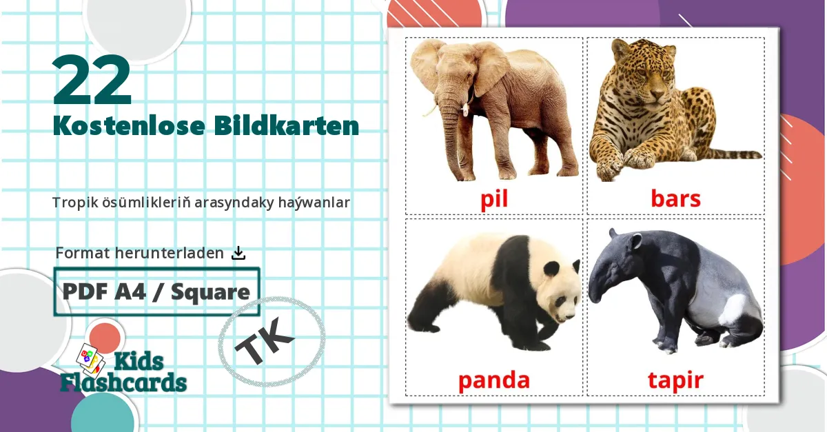 22 Bildkarten für Tropik ösümlikleriň arasyndaky haýwanlar