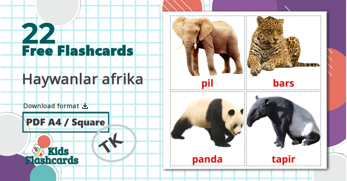 22 Jungle animals flashcards