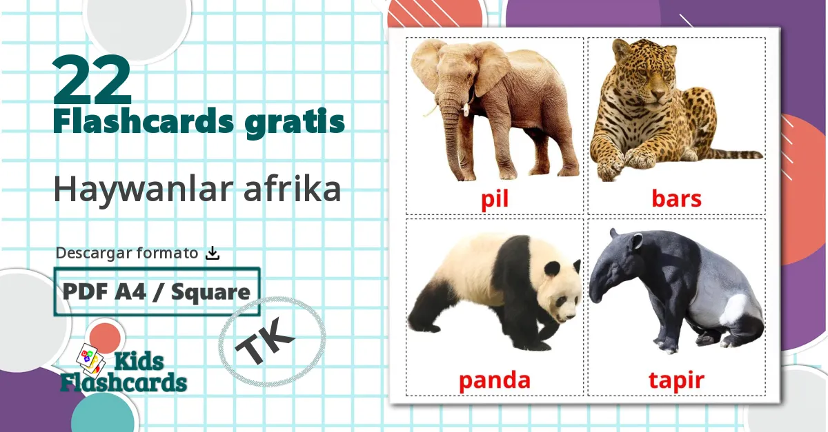 22 tarjetas didacticas de Animales de la Selva