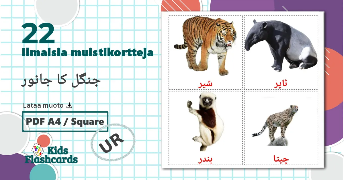 22 جنگل کا جانور lasten kuvakortit
