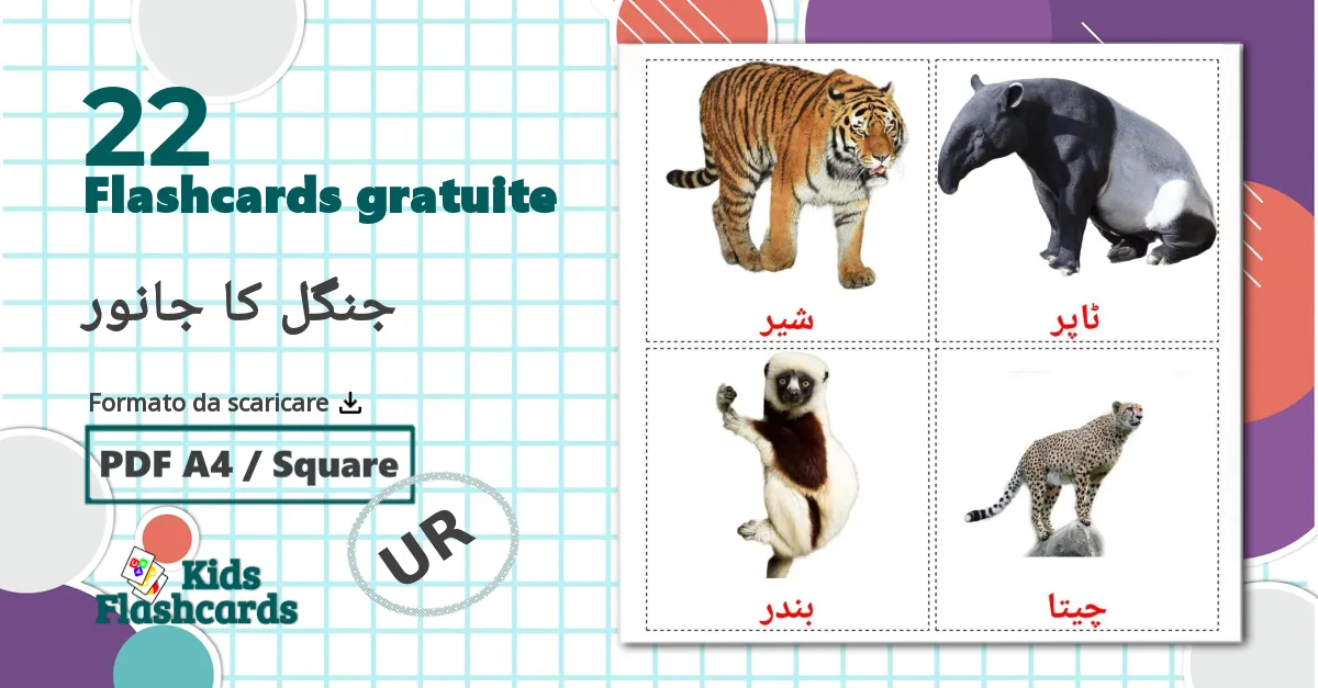 22 flashcards di جنگل کا جانور