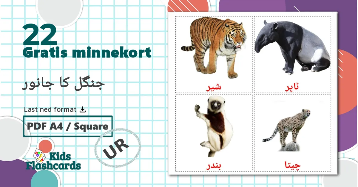 22 جنگل کا جانور bildekort