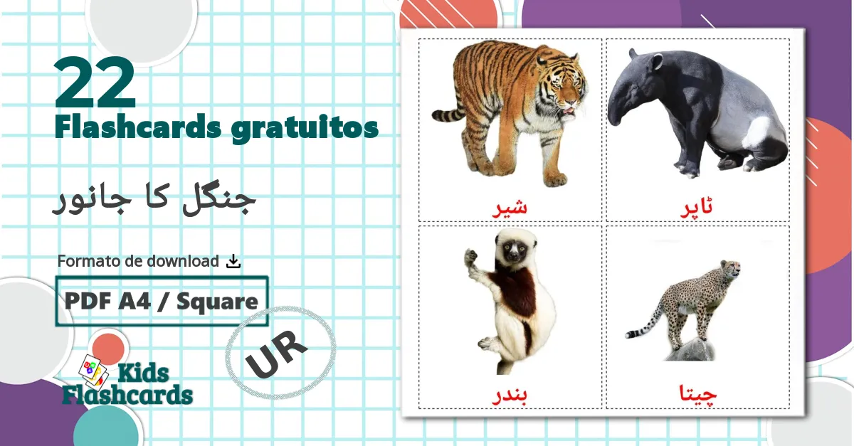 22 Flashcards de جنگل کا جانور