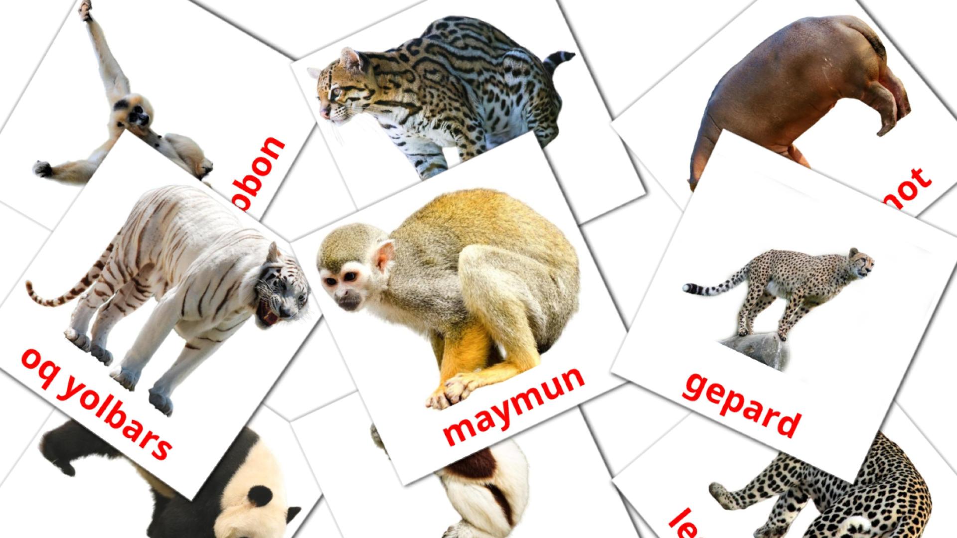 tarjetas didacticas de Afrika hayvonlari