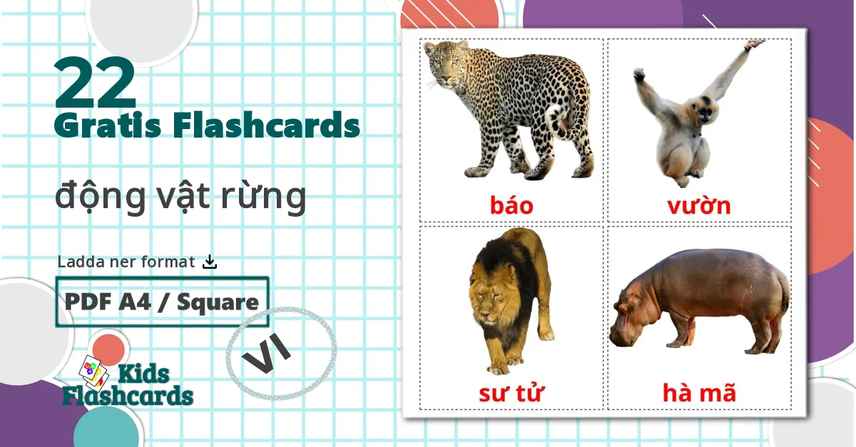 22 động vật rừng bildkort för barn