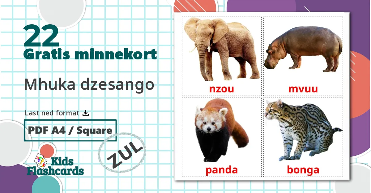 22 Mhuka dzesango bildekort