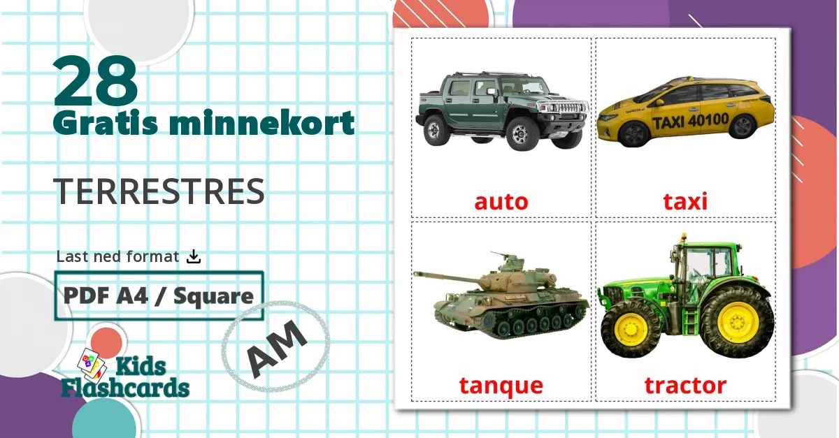 26 Landtransport bildekort