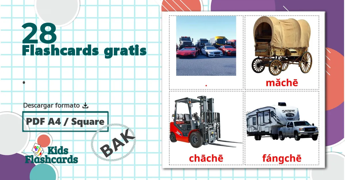 28 tarjetas didacticas de Animales del Bosque