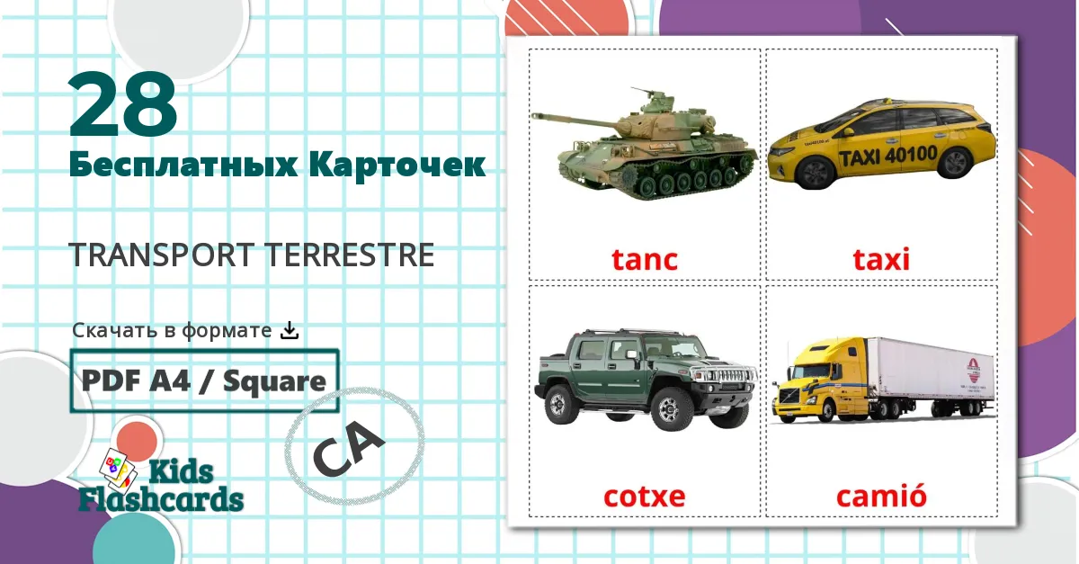 28 Карточки Домана Наземный транспорт