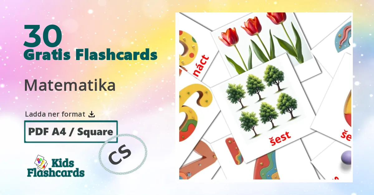 Matematika tjeckiska ordkort