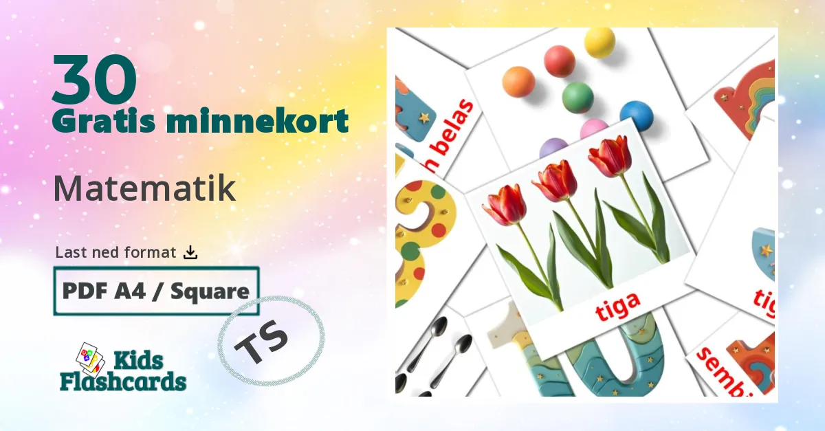 30 Matematik bildekort