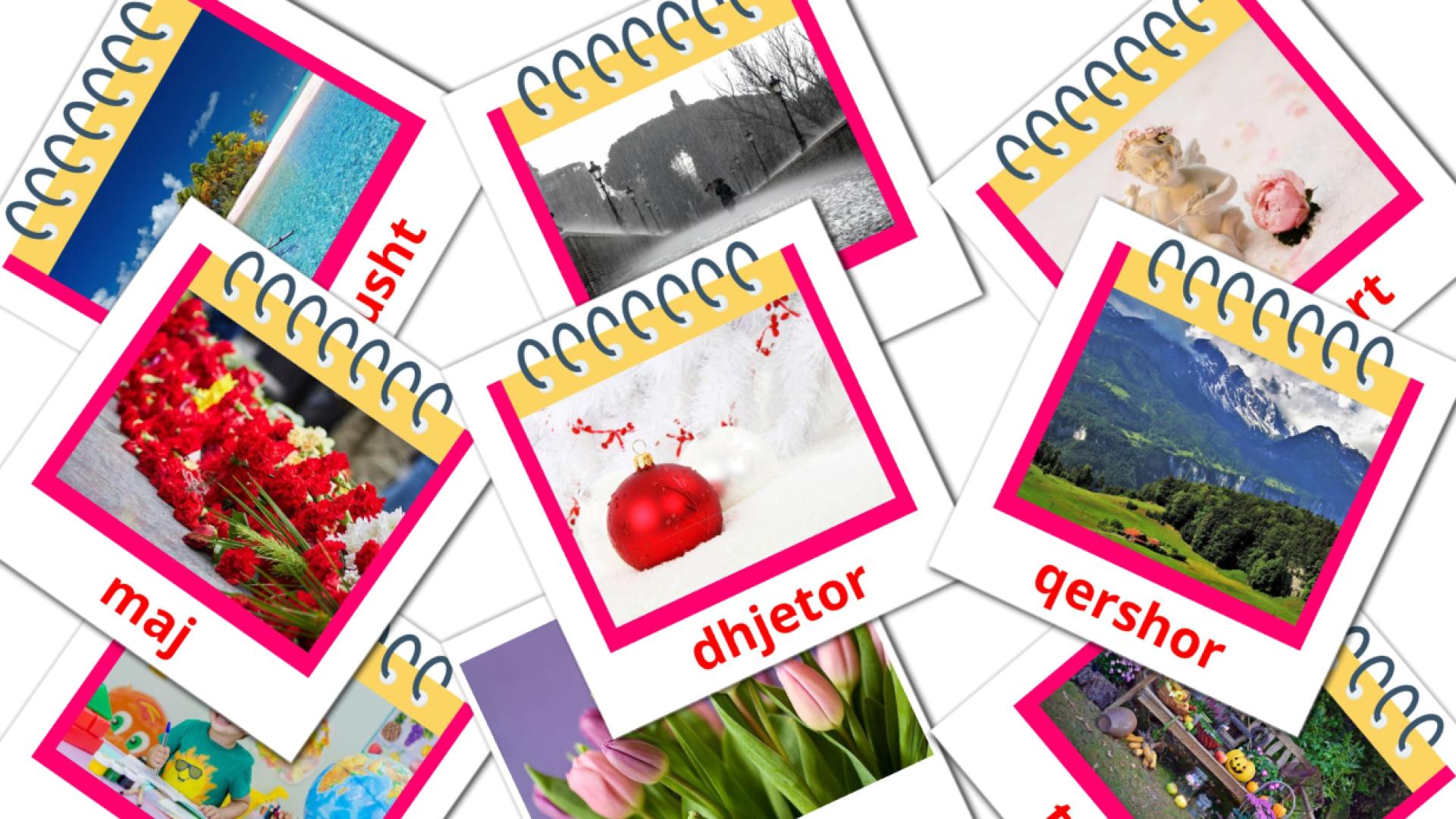 Months of the Year - albanian vocabulary cards