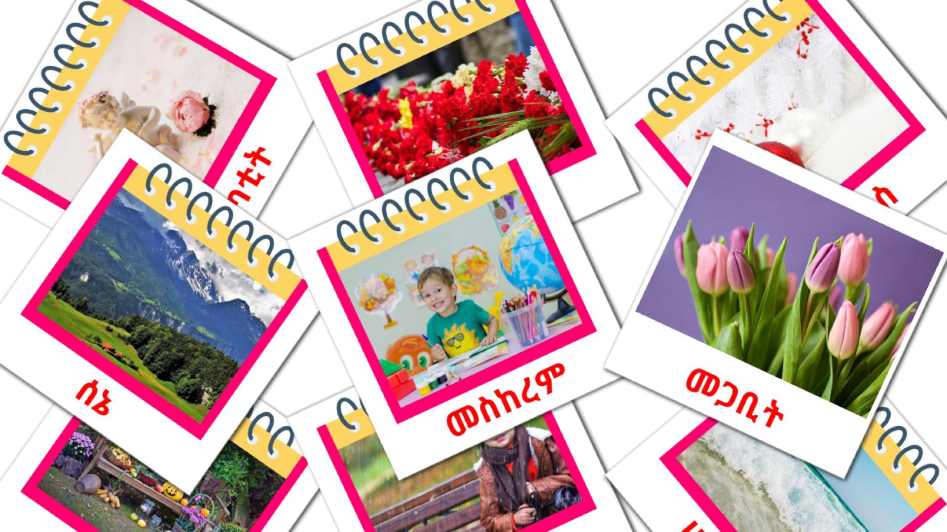 Months of the Year - amharic vocabulary cards