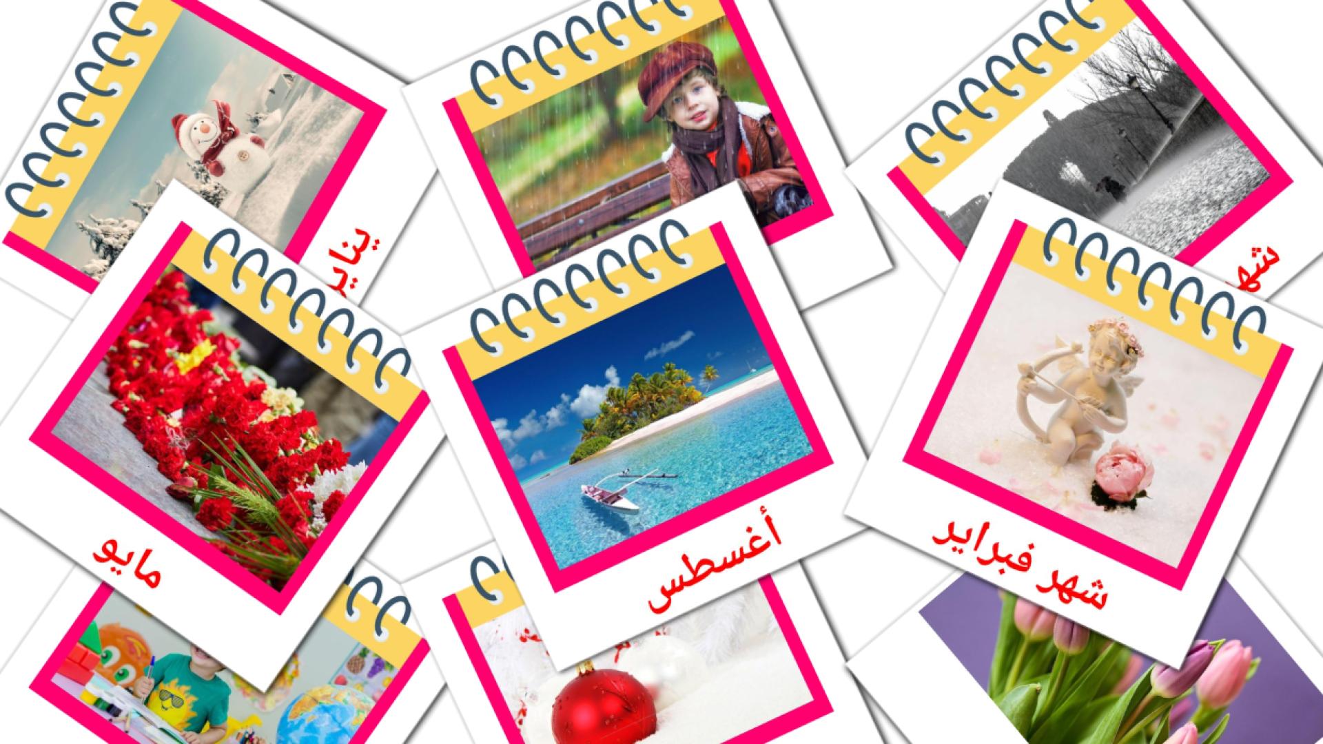 Months of the Year - arabic vocabulary cards