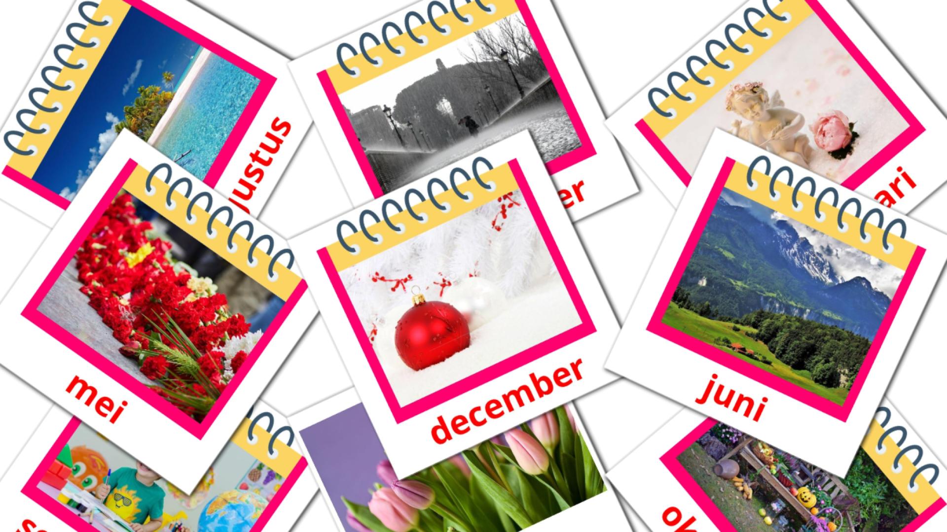 tarjetas didacticas de Maanden van het jaar